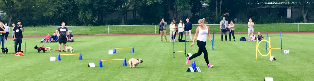 Ankara Köpek Eğitimi